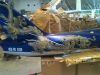 dragon5
